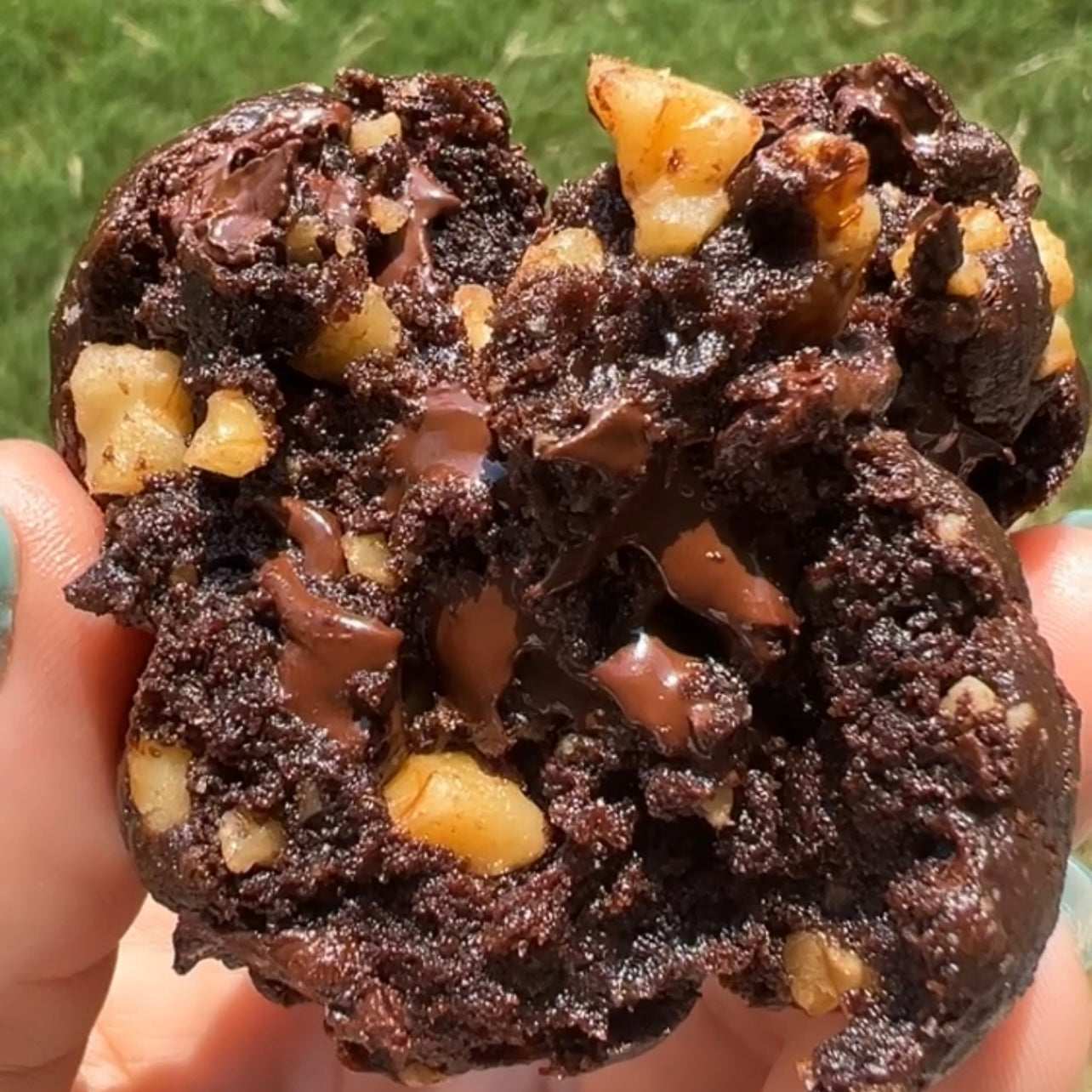 Chunky Fudge Brownie walnut cookies (75 grams)