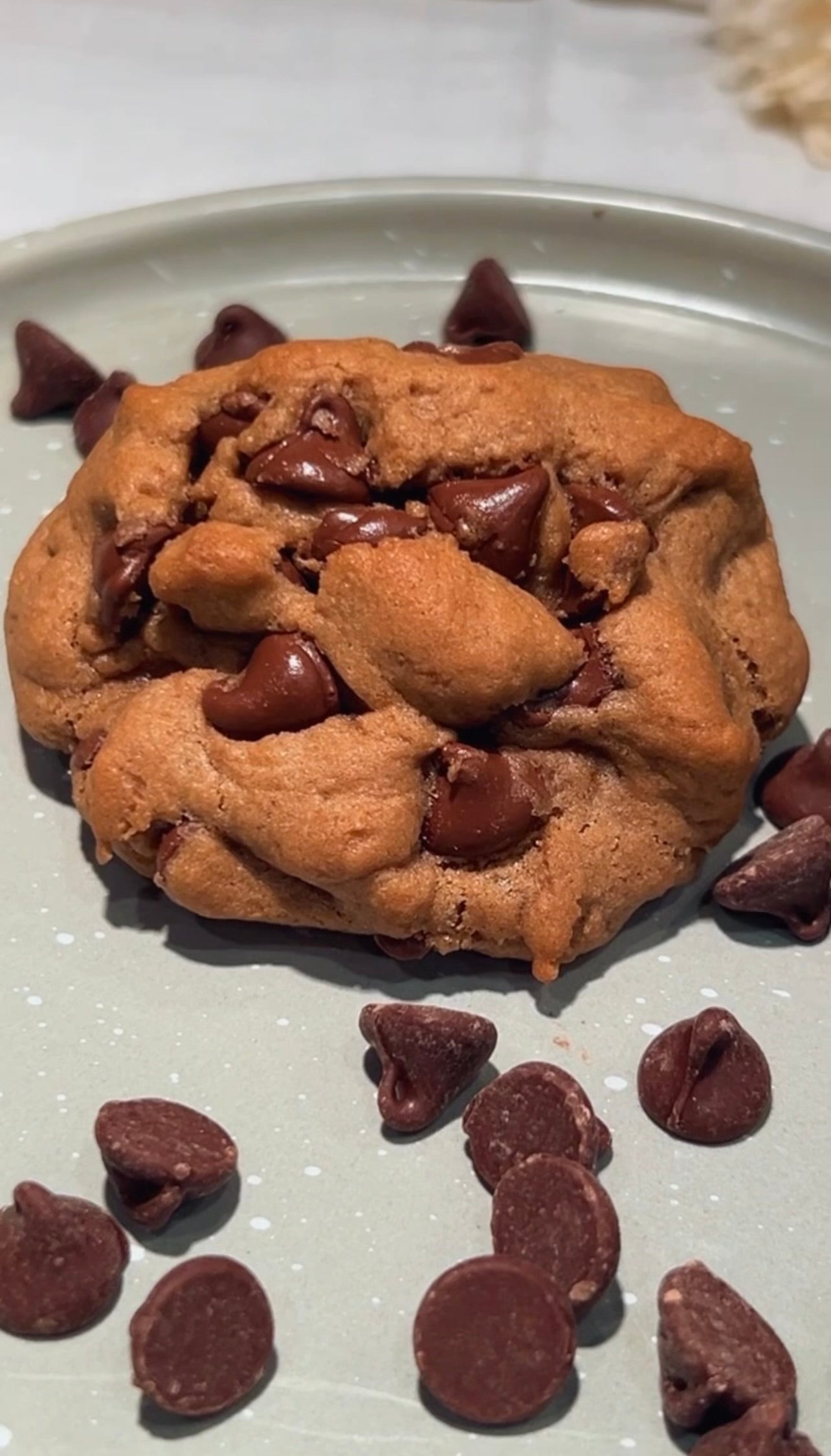 Chocolate Dream Box (8Cookies) 75 grams